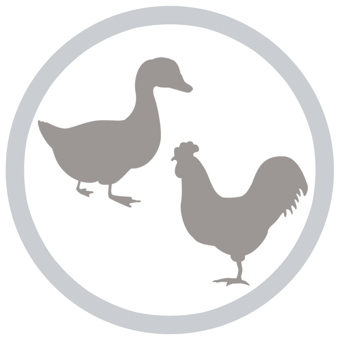 鴨と鶏肉ベース