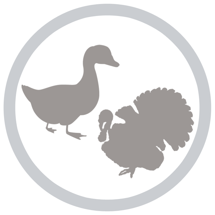 鴨肉と七面鳥ベース