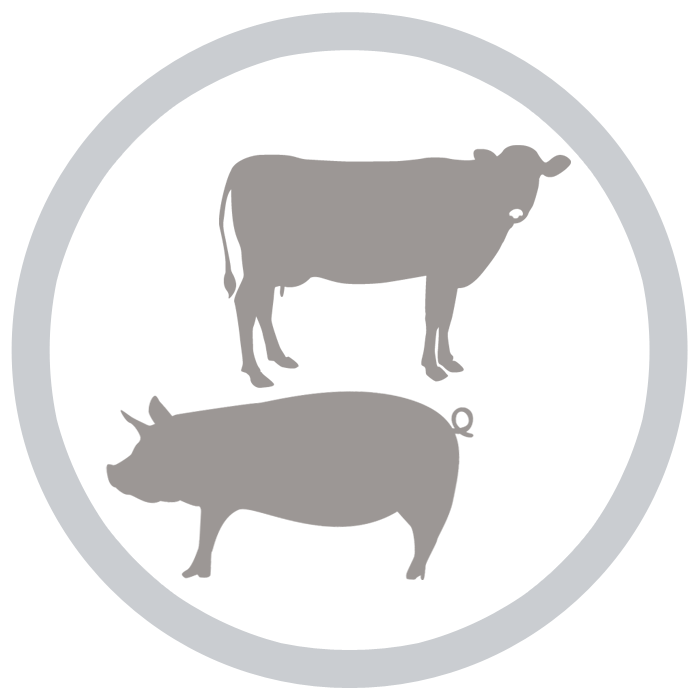 ポーク＆ビーフ肉ベース