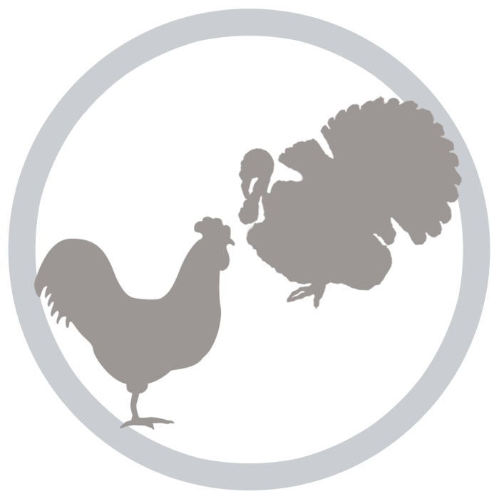 七面鳥&鶏肉ベース